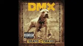 DMX - Dog's Out
