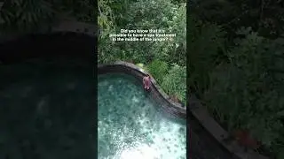 Spa treatment in the middle of the jungle | Bali plans 🇮🇩