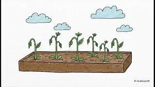 Why Your Visibility Feels Scattered | Your Visibility Edge
