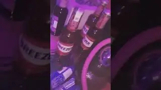 BEAR BAR 😋😋😋,Whatsapp Status.😃😃😃