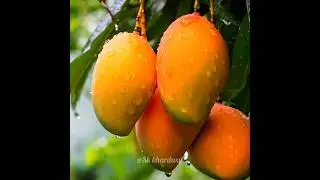 भोजन के रोचक तथ्य | Amazing facts about food 🥞 | interesting facts | food | #health #food #viral
