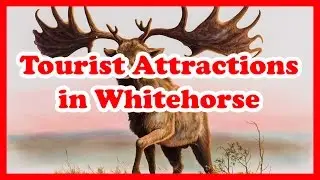 5 Top-Rated Tourist Attractions in Whitehorse | Canada Travel Guide