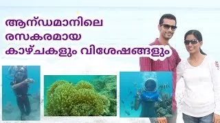 ഒരു കിടിലൻ ആൻഡമാൻ യാത്ര. Andaman Nicobar trip. Health Glow and Taste