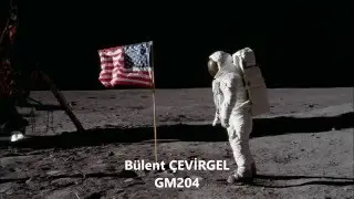 gm204