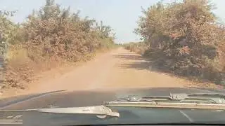 តាផូស្វាយចេកហុយណាស់