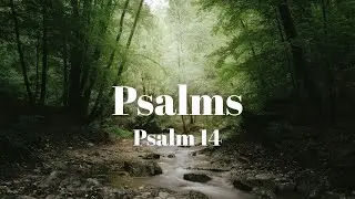 January 18, 2025 Union Christian Church Live