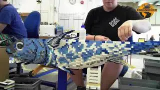 Bluefin Tuna - Time Lapse Brick Building