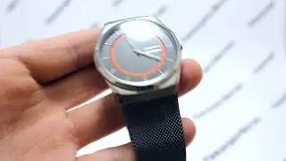 Часы Skagen SKW6007 - видео обзор от PresidentWatches.Ru