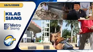 Kilas Siang - Prabowo & Jokowi Hadiri Pernikahan , Binturong Jawa Ditangkap, Festival Pet Terbesar
