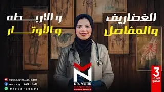 الغضاريف| المفاصل | الاربطه | الأوتار | الصف الثالث الثانوي