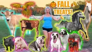 Feeding All My Pets Fall Treats In One Video!! *THEY LOVED IT*