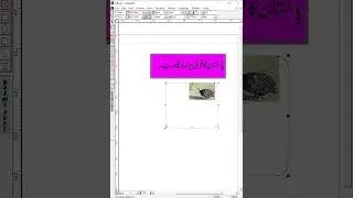 How to use insert picture in Rounded Rectangle tool in Inpage