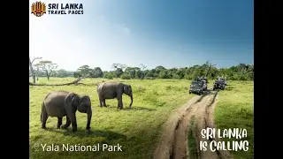 Yala National Park - Sri Lanka