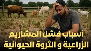 اسباب فشل المشاريع الزراعية و الثروة الحيوانية
