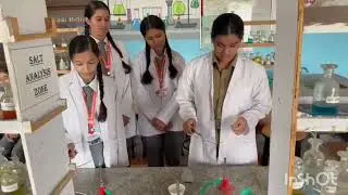 Students Performing Experiment: Burning of Magnesium Ribbon