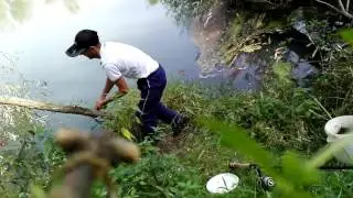 Som revir Drava