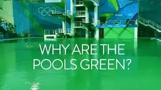 Why are the Olympic diving pools green? Olympic Games Rio 2016 - BBC Sport