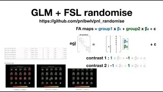 Учебное пособие: GLM, FSL Randomize и как суммировать результаты