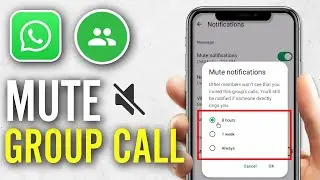 How to Mute WhatsApp Group Call Notifications | Step-by-Step Guide