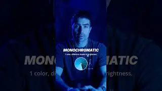 Color schemes to use on your next shoot #cinematicvideo #contentcreator #lightingsetup #creatortips
