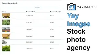 Yayimages Stock photography agency  - Review and how to upload
