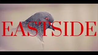 Little Wolf - Eastside ( Official Music Video ) #littlewolf