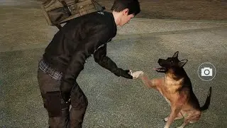 UNDAWN PLAY WITH PET ANIMATION @undawnturkiye (HD)