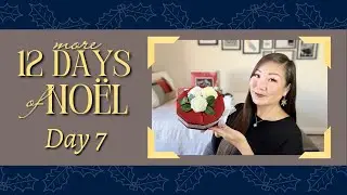 🎄 Day 7: 12 Days of Noël (Unboxing 4 “12 Days of Christmas” Boxes 1 Day at a Time) 2022-2023