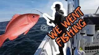 Red snapper fishing in December !!! Destin Florida Fishing