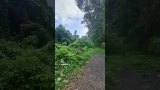 Goa at Moira, settlement plot for sale with a 40 mtr frontage&3 road access.Area:1970m&sup2;Price: 50kpm&sup2;
