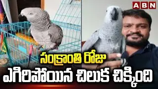 సంక్రాంతి రోజు ఎగిరిపోయిన చిలుక చిక్కింది | Rare Parrot Found in Ambedkar Konaseema | ABN