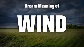 Wind Dream Meaning & Symbolism