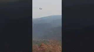 Greenwattle  fire at Colo Vale