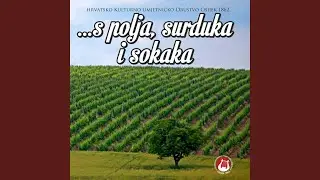 Alaj Fino To Baranjsko Vino