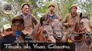 Toada da Vaca Cocaína - Poeta Cheiro da Vaquejada - Vaca Treinada Por Bie da Melancia!