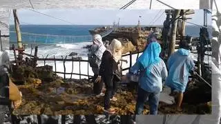 Pakej Percutian Jogja | Yogyakarta Tour Package