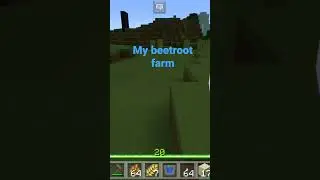 my beetroot farm