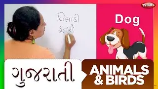 Learn Animals and Birds in Gujarati | Pebbles Gujarati | School Learning Videos