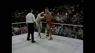 The Red Rooster vs The Conquistador, WWF 1989