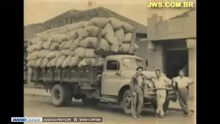 A geada que acabou com o café no Paraná em 1975 -  Memória Paranaense n 6