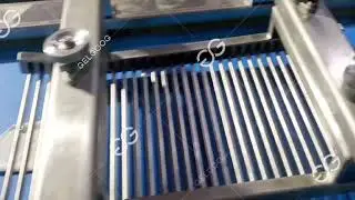 Automatic Spring Roll Machinery System