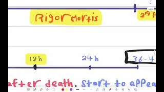 Postmortem Changes Part 2