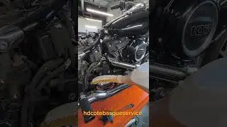 in maintenance mode on an FLSBHdcotebasqueservice  #harleydavidson #motorcycle #reels #fyp #moto