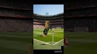 AI stade football rabat morocco