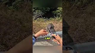 #доброта