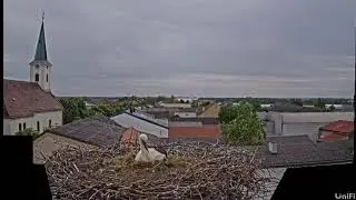 Livestream von Tadten Gemeinde