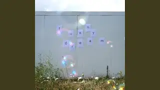 Funny Dream