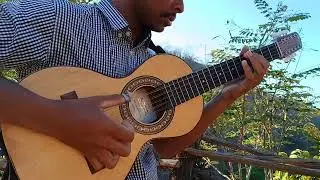 Sele&ccedil;&atilde;o de pagodes na viola do Ti&atilde;o Carreiro e Pardinho#viola #caipira 