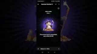 24 August Hamster Kombat Daily Cipher| Hamster Kombat Daily Combo Code 24 August,Daily Combo Code🔥