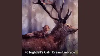 Lifted Into Dreams
